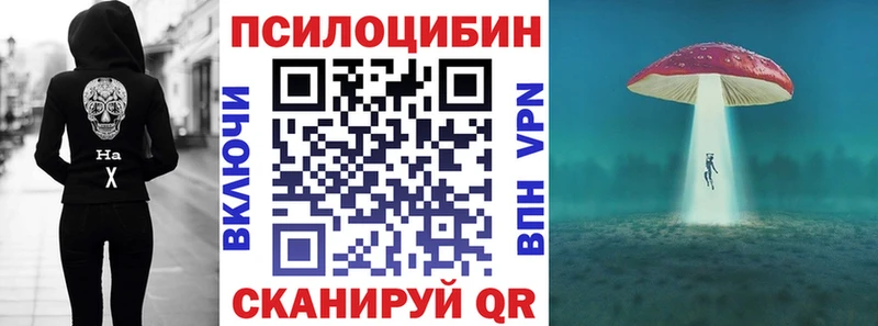 Галлюциногенные грибы Cubensis  Горбатов 